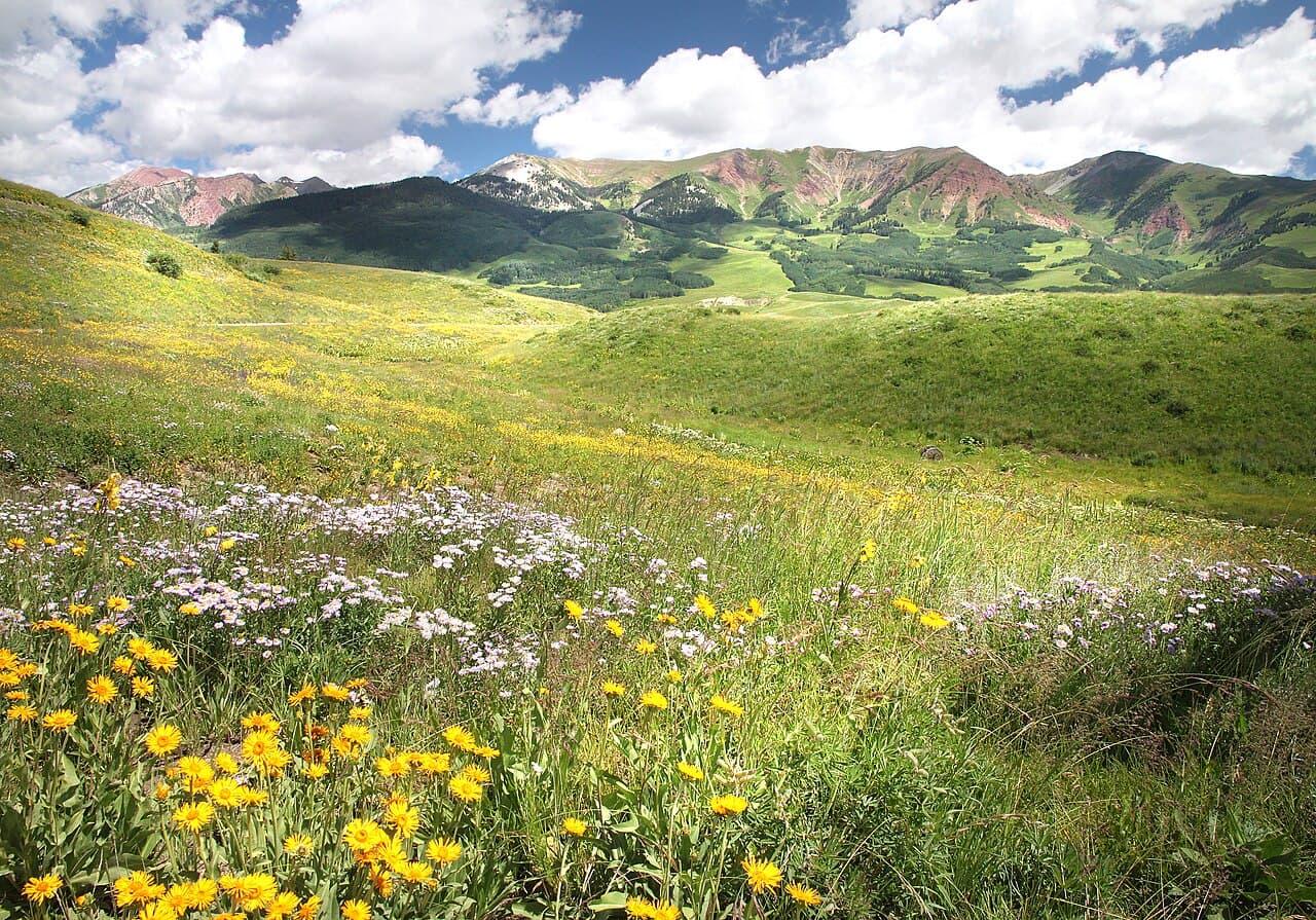 Crested Butte Family Adventure